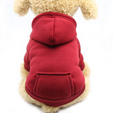 Charger l&#39;image dans la galerie, Warm Pet Clothes For Cats Clothing Autumn Winter Clothing for Cats Coat Puppy Outfit Cats Clothes for Cat Hoodies mascotas 8Y45